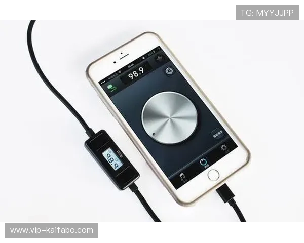 如何在苹果设备上快速免费下载安装凯发客户端确保安全稳定